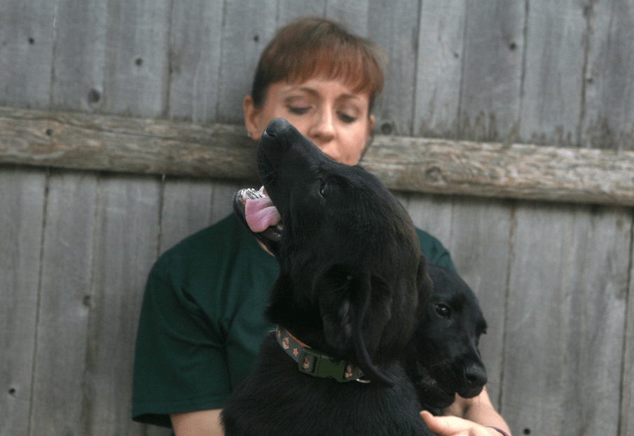 The adorable puppies from the West Suburban Humane Society. Image from mysuburbanlife.com